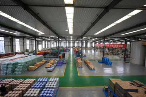 英莱壳智慧工厂 超凡技术全解密与信息技术开发深度融合